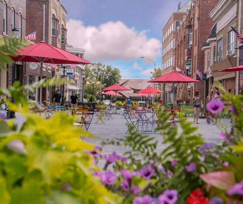 Picture of a city street with plants in Somerset county NJ